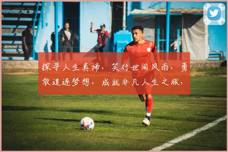 探寻人生真谛，笑对世间风雨，勇敢追逐梦想，成就非凡人生之旅，三步一回头，四顾皆风景。