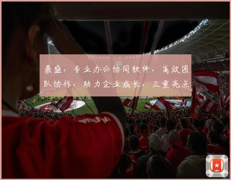 鼎盛,专业办公协同软件,高效团队协作,助力企业成长,三重亮点,一触即达