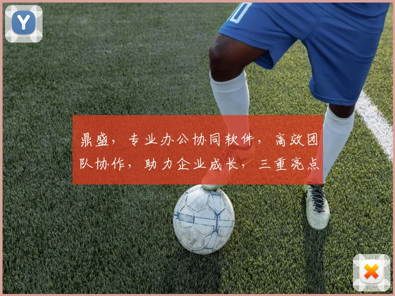 鼎盛，专业办公协同软件，高效团队协作，助力企业成长，三重亮点，一触即达